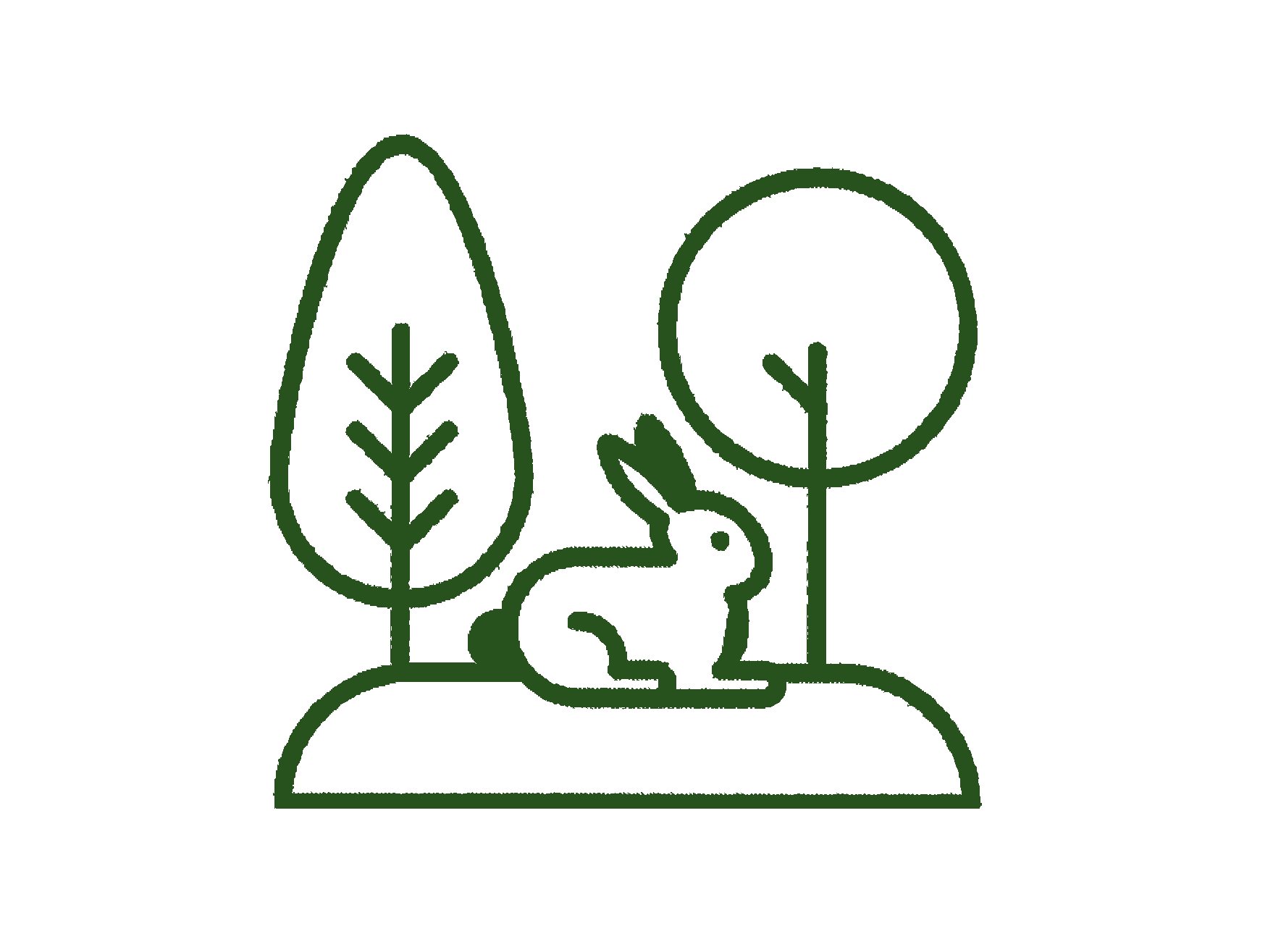Biodiversity design — BHB Architects sustainable architectural services